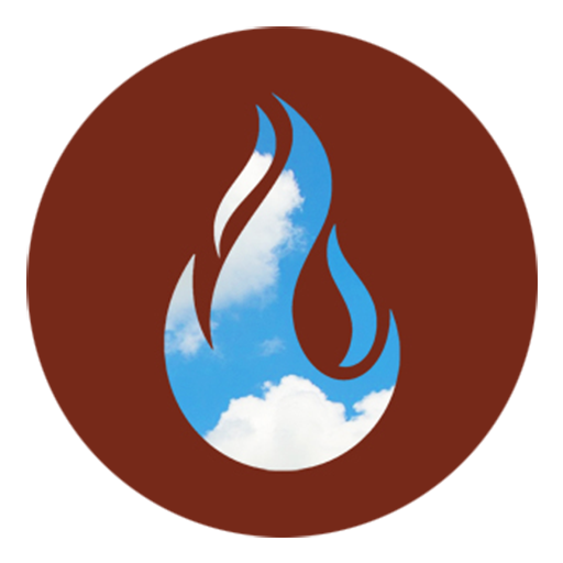 logo schoner houtstoken